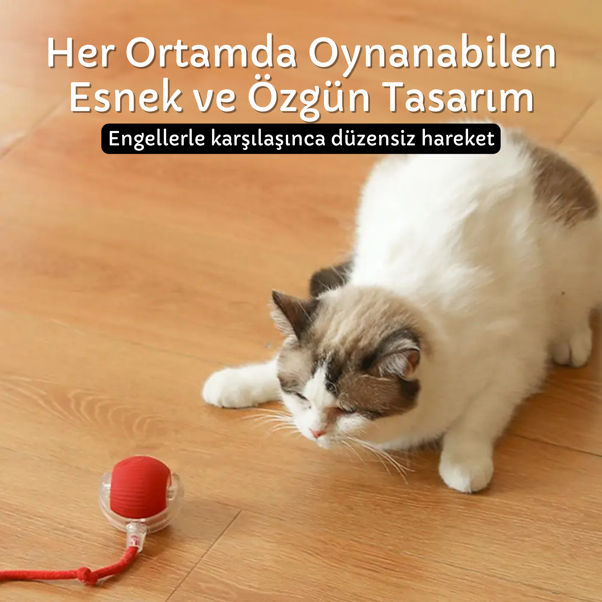 İnteraktif Kedi Oyuncak Top